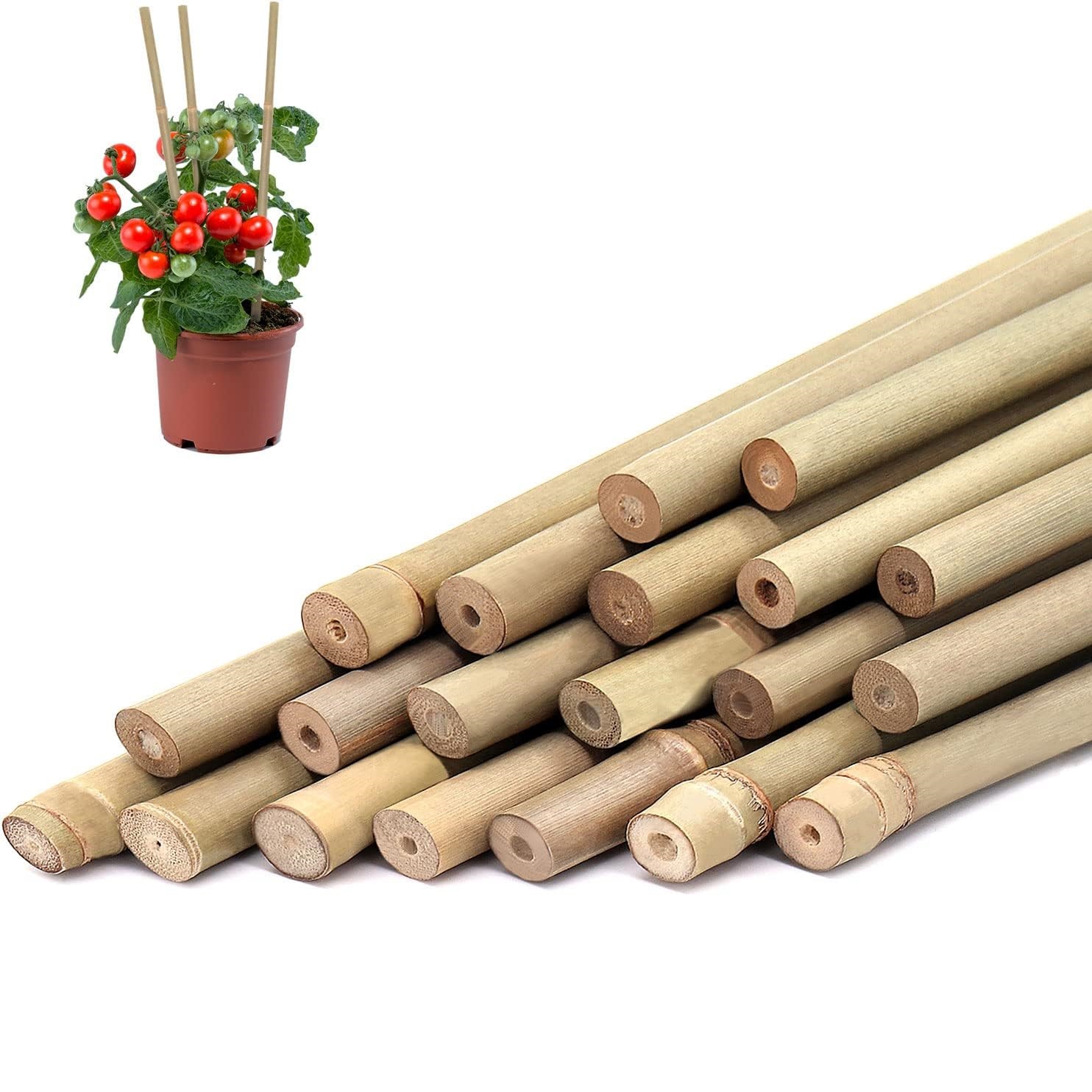 Plant Support Stake - 10 шт., бамбуковые колья для растений