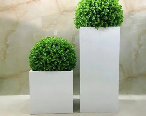 Новый большой прямоугольный ал – обзор и цена Indoor Plants