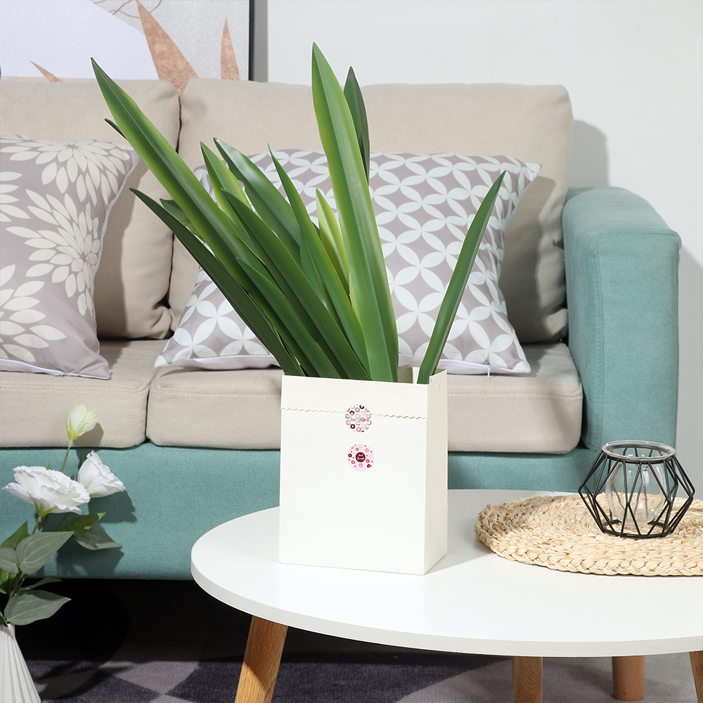 Искусственные орхидеи высокого – обзор и цена Snake Plant