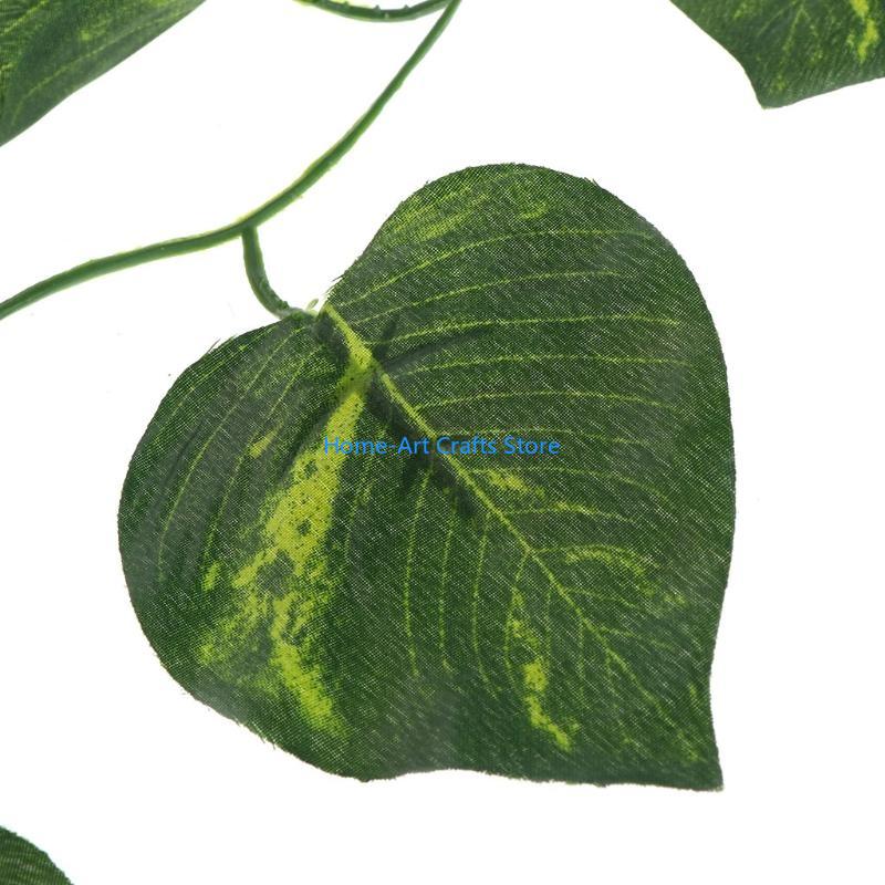 Y3NA Рыба для аквариума, ландш – обзор и цена Snake Plant