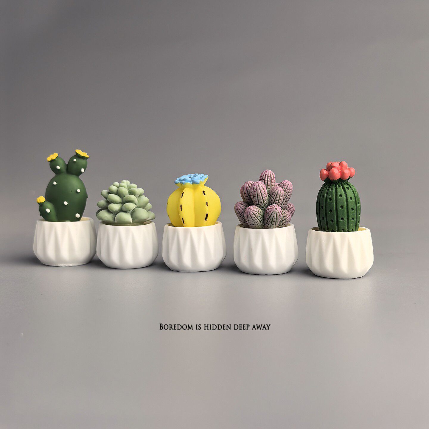 Миниатюрное растение в горшке: – обзор и цена Succulent Set