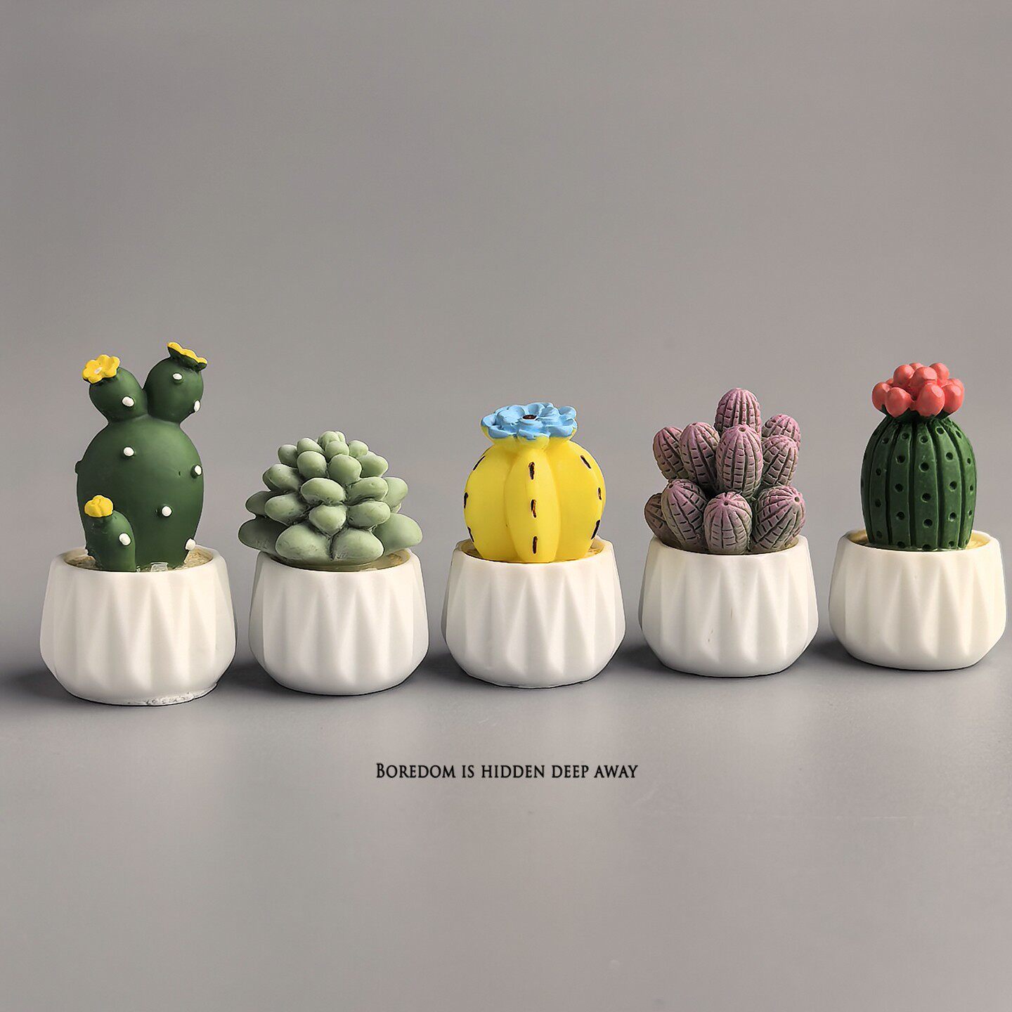 Миниатюрное растение в горшке: – обзор и цена Succulent Set