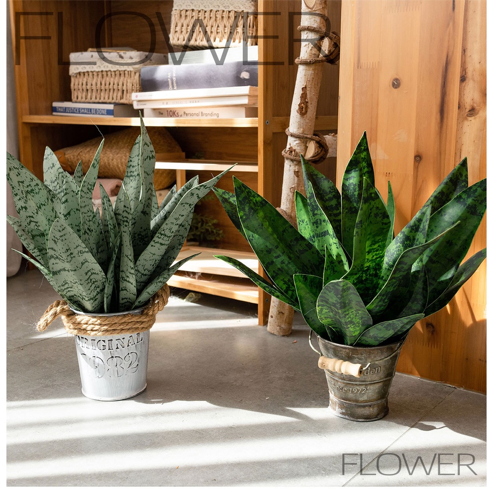 Искусственная зелень из ПВХ в  – обзор и цена Snake Plant