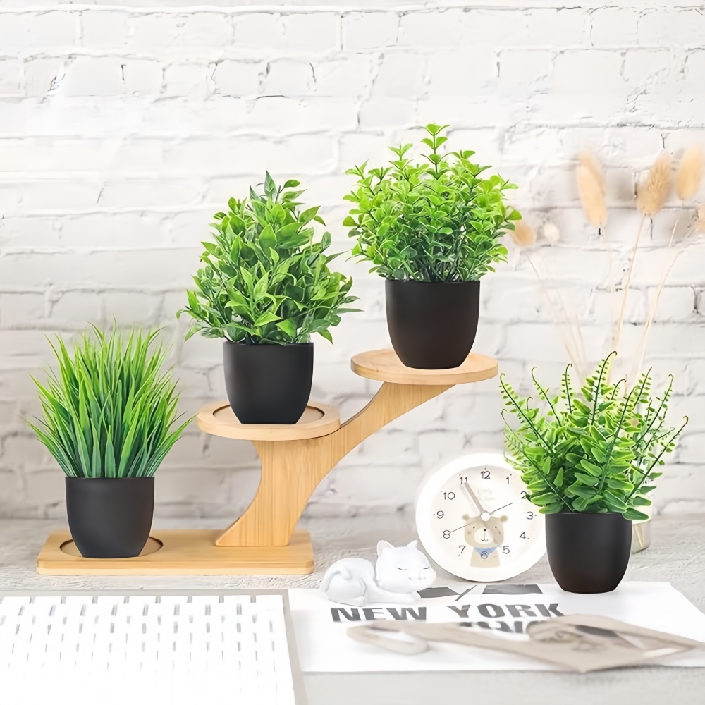 Набор из 4 миниатюрных искусст – обзор и цена Succulent Set