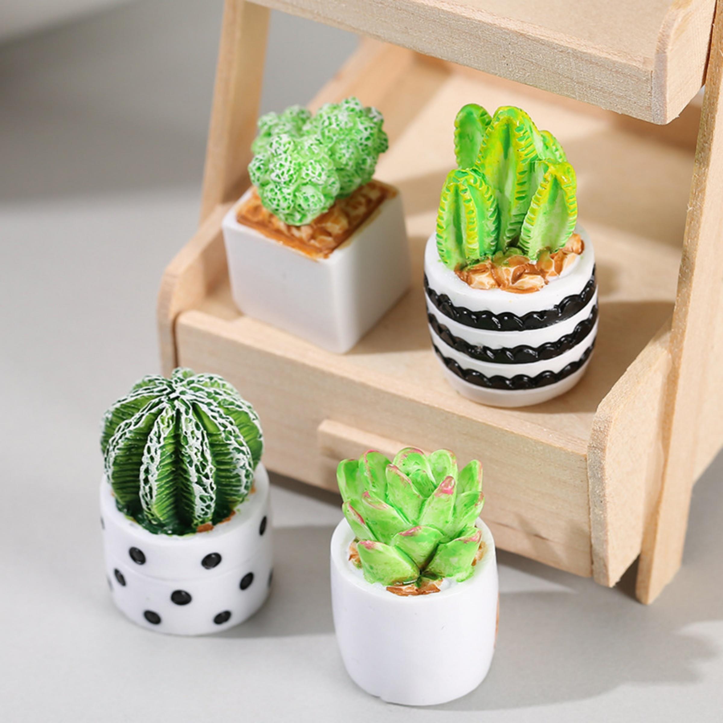 Набор из 4-х миниатюрных сукку – обзор и цена Succulent Set
