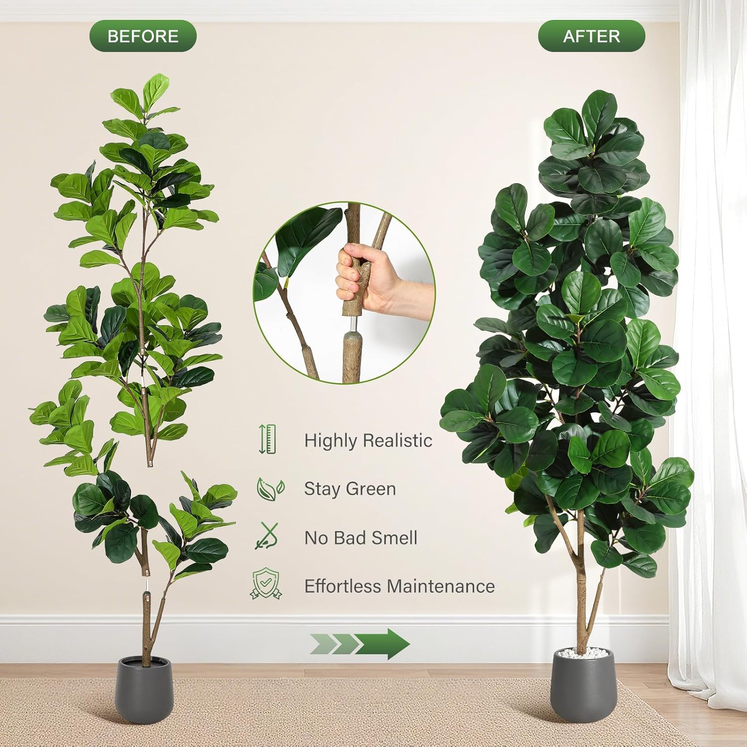 4 фута/5 футов/6 футов/7 футов – обзор и цена Fiddle Leaf Fig