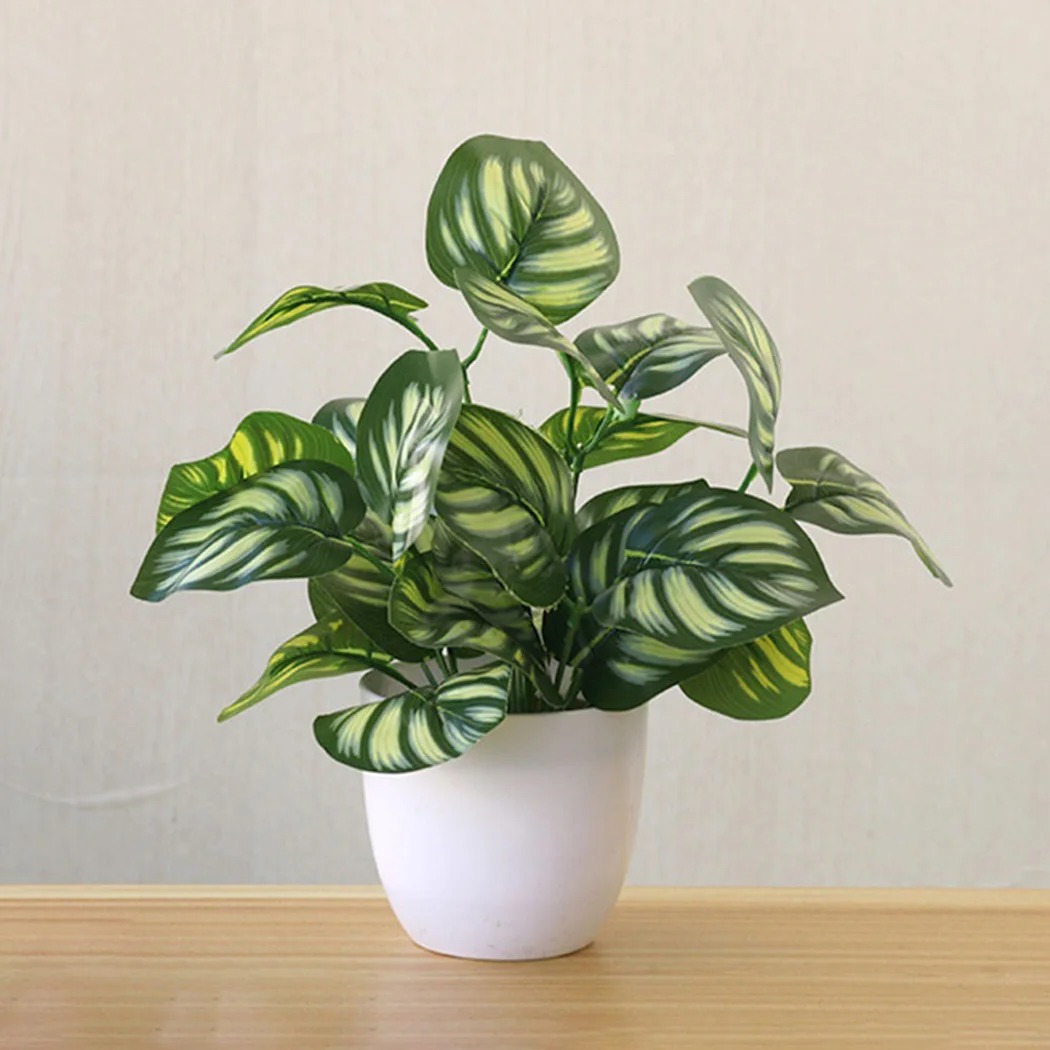 1 шт., искусственный лист, гор – обзор и цена Snake Plant